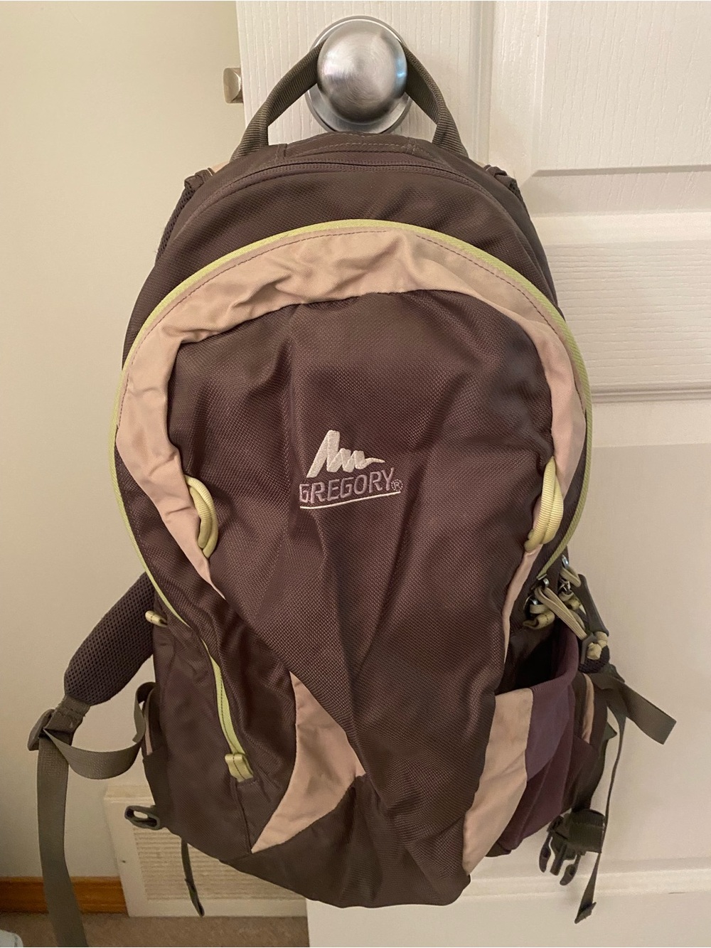 Gregory Backpack